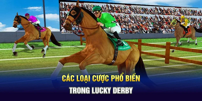 Các loại cược phổ biến trong Lucky Derby